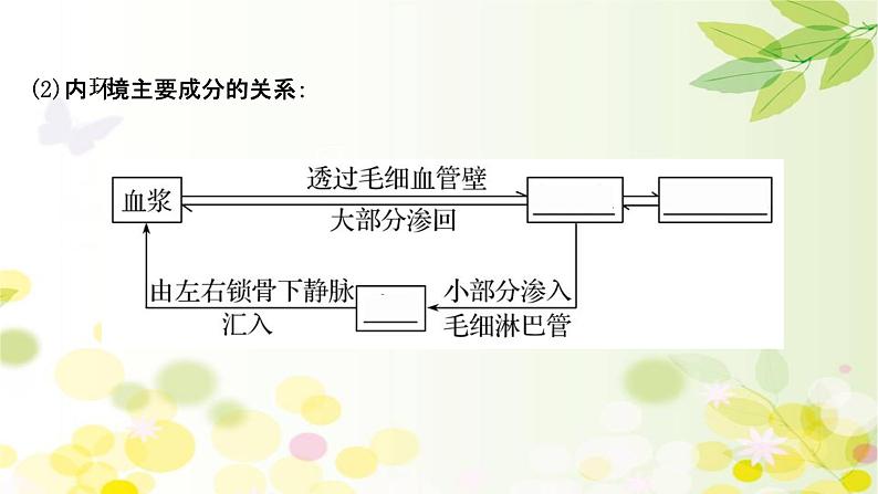 高中生物2022届新教材一轮复习人教版 第八单元 第1课 人体的内环境与稳态 课件第6页