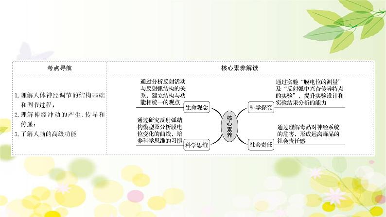 高中生物2022届新教材一轮复习人教版 第八单元 第2课 通过神经系统的调节 课件第2页