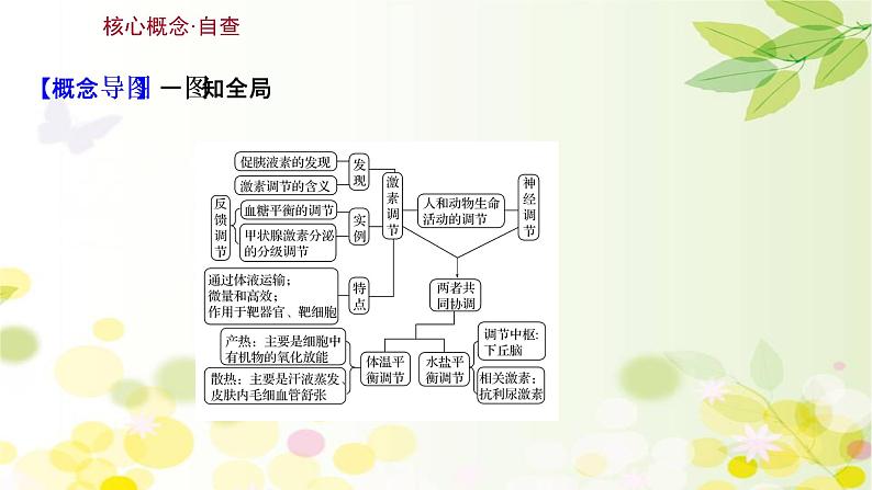 高中生物2022届新教材一轮复习人教版 第八单元 第3课 通过激素的调节及神经调节与体液调节的关系 课件03