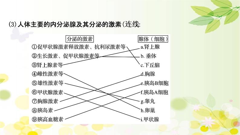 高中生物2022届新教材一轮复习人教版 第八单元 第3课 通过激素的调节及神经调节与体液调节的关系 课件07