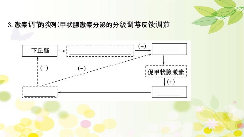 高中生物2022届新教材一轮复习人教版 第八单元 第3课 通过激素的调节及神经调节与体液调节的关系 课件08