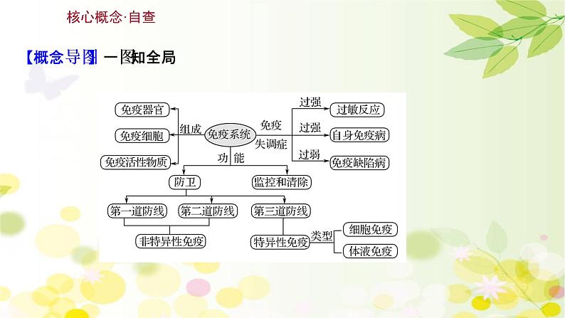 高中生物2022届新教材一轮复习人教版 第八单元 第4课 免 疫 调 节 课件第3页