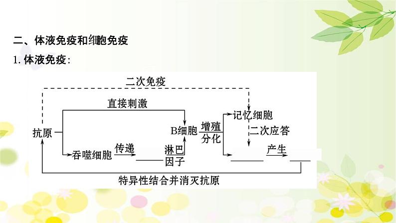 高中生物2022届新教材一轮复习人教版 第八单元 第4课 免 疫 调 节 课件第6页