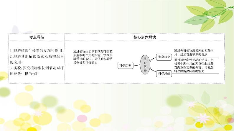 高中生物2022届新教材一轮复习人教版 第八单元 第5课 植物的激素调节 课件第2页