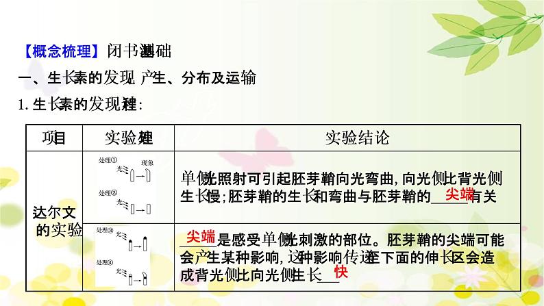 高中生物2022届新教材一轮复习人教版 第八单元 第5课 植物的激素调节 课件第4页