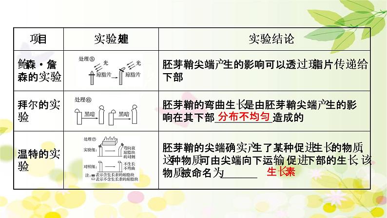 高中生物2022届新教材一轮复习人教版 第八单元 第5课 植物的激素调节 课件第5页