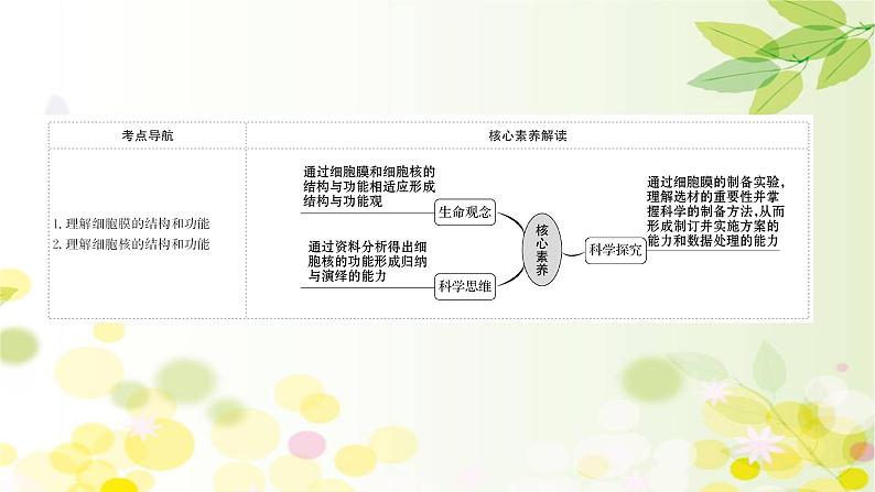 高中生物2022届新教材一轮复习人教版 第二单元 第1课 细胞膜和细胞核 课件02