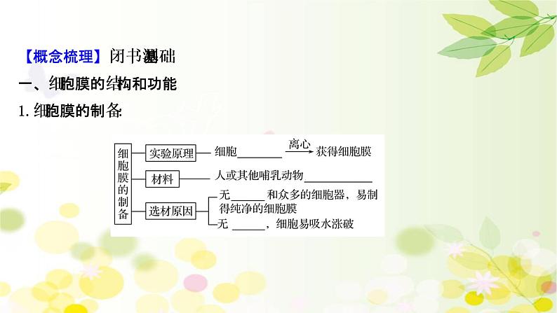 高中生物2022届新教材一轮复习人教版 第二单元 第1课 细胞膜和细胞核 课件04