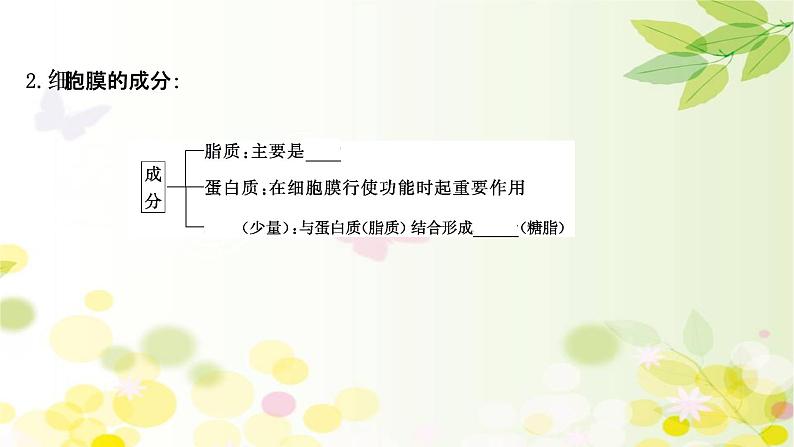 高中生物2022届新教材一轮复习人教版 第二单元 第1课 细胞膜和细胞核 课件05