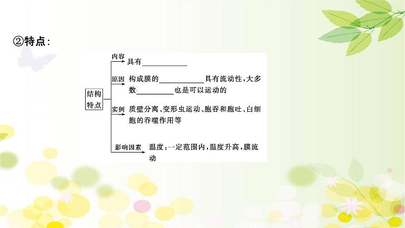 高中生物2022届新教材一轮复习人教版 第二单元 第1课 细胞膜和细胞核 课件08