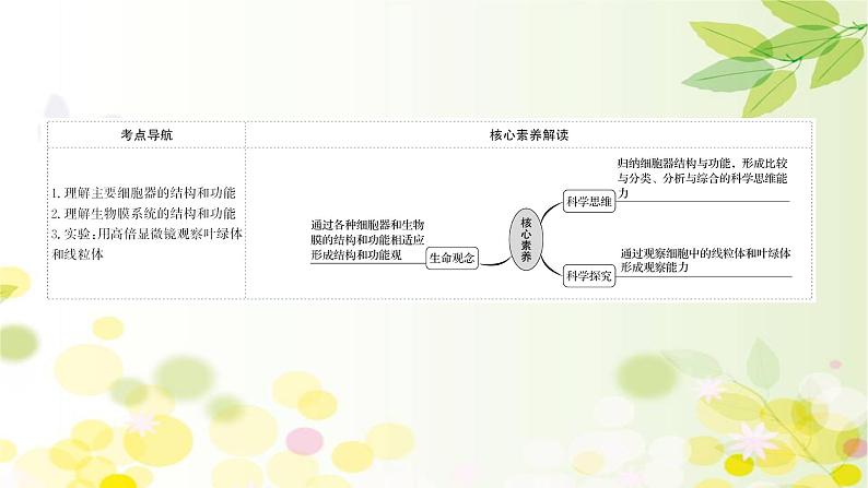 高中生物2022届新教材一轮复习人教版 第二单元 第2课 细胞器和生物膜系统 课件第2页