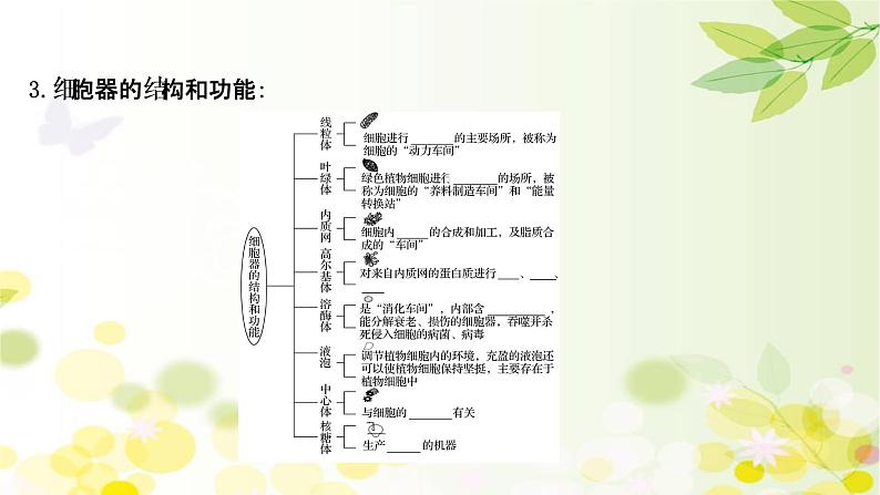 高中生物2022届新教材一轮复习人教版 第二单元 第2课 细胞器和生物膜系统 课件第5页