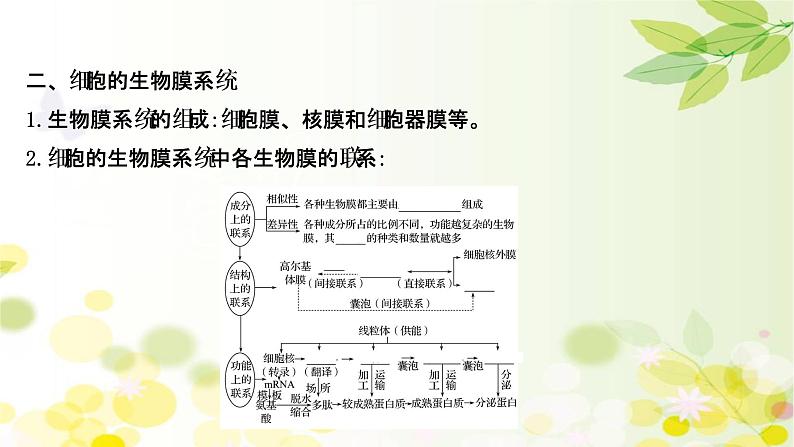 高中生物2022届新教材一轮复习人教版 第二单元 第2课 细胞器和生物膜系统 课件第6页