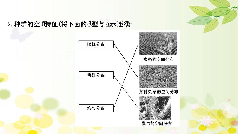 高中生物2022届新教材一轮复习人教版 第九单元 第1课 种群的特征和数量的变化 课件05