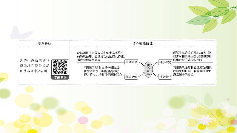 高中生物2022届新教材一轮复习人教版 第九单元 第4课 生态系统的能量流动和物质循环 课件第2页