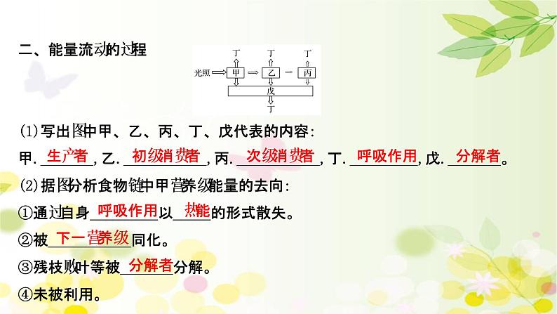 高中生物2022届新教材一轮复习人教版 第九单元 第4课 生态系统的能量流动和物质循环 课件第6页