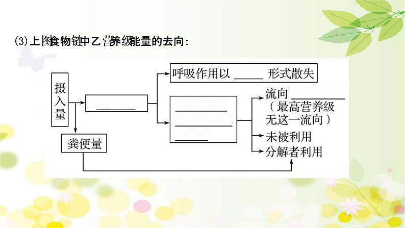 高中生物2022届新教材一轮复习人教版 第九单元 第4课 生态系统的能量流动和物质循环 课件第7页