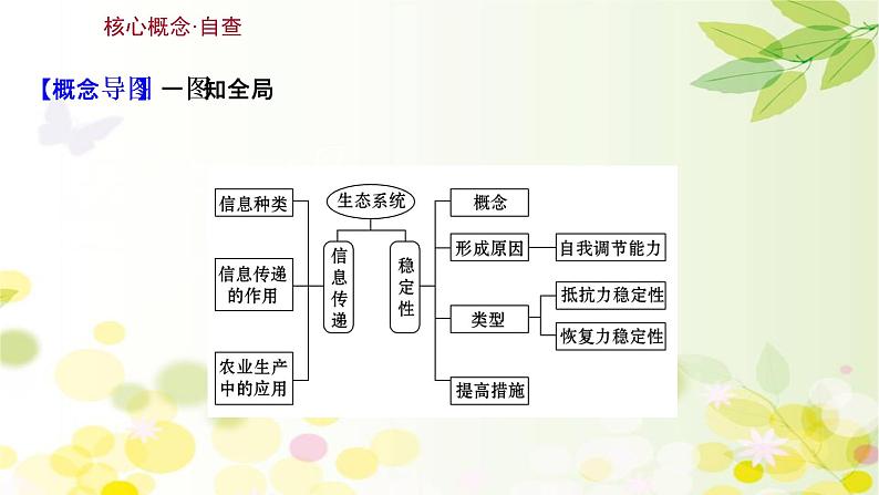 高中生物2022届新教材一轮复习人教版 第九单元 第5课 生态系统的信息传递和稳定性 课件第3页