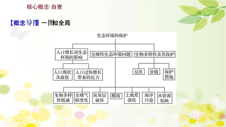 高中生物2022届新教材一轮复习人教版 第九单元 第6课 生态环境的保护和生态工程 课件第3页