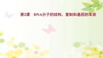 高中生物2022届新教材一轮复习人教版 第六单元 第2课 DNA分子的结构、复制和基因的本质 课件