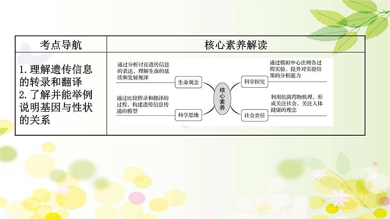 高中生物2022届新教材一轮复习人教版 第六单元 第3课 基因的表达 课件第2页