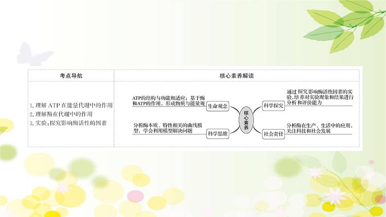 高中生物2022届新教材一轮复习人教版 第三单元 第1课 ATP和酶 课件第2页