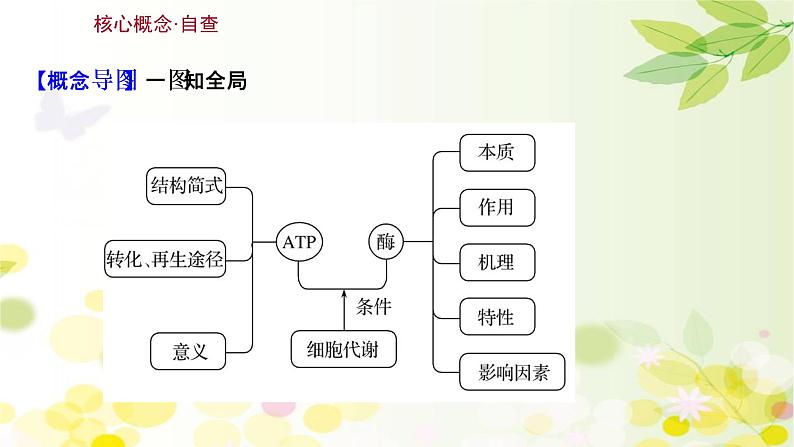 高中生物2022届新教材一轮复习人教版 第三单元 第1课 ATP和酶 课件第3页