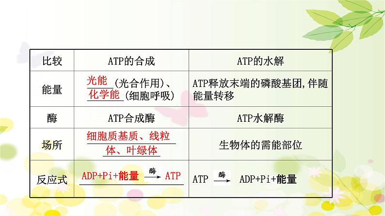 高中生物2022届新教材一轮复习人教版 第三单元 第1课 ATP和酶 课件第6页