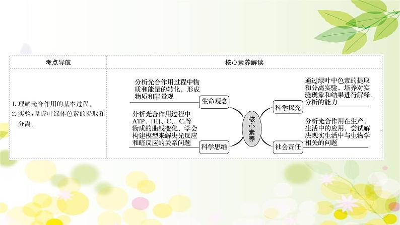 高中生物2022届新教材一轮复习人教版 第三单元 第3课 光合作用探究历程和基本过程 课件第2页