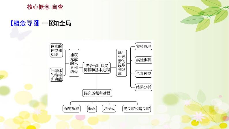 高中生物2022届新教材一轮复习人教版 第三单元 第3课 光合作用探究历程和基本过程 课件第3页