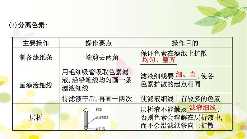 高中生物2022届新教材一轮复习人教版 第三单元 第3课 光合作用探究历程和基本过程 课件第6页