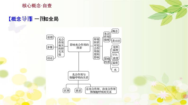 高中生物2022届新教材一轮复习人教版 第三单元 第4课 影响光合作用的因素及光合作用和细胞呼吸的关系 课件第3页