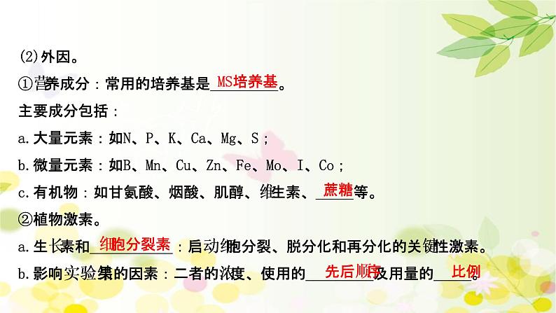 高中生物2022届新教材一轮复习人教版 第十单元 第3课 菊花的组织培养和DNA技术 课件第7页