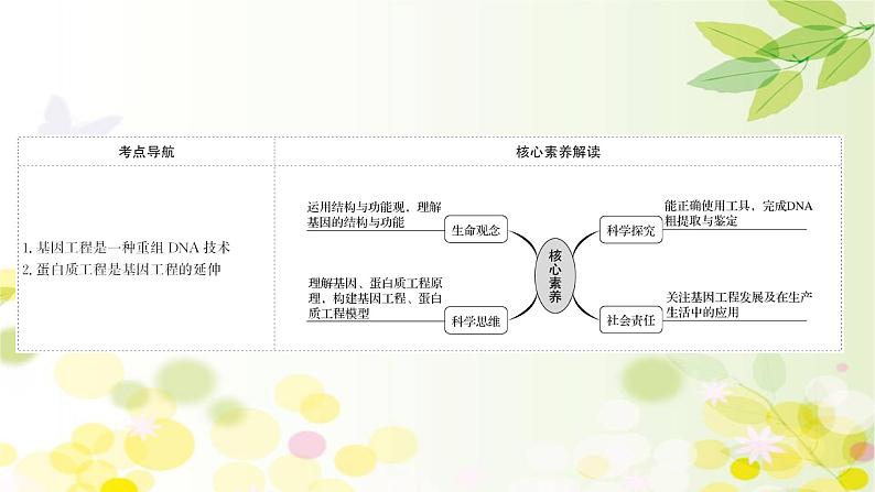 高中生物2022届新教材一轮复习人教版 第十单元 第4课 基 因 工 程 课件第2页