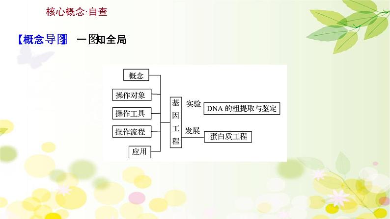 高中生物2022届新教材一轮复习人教版 第十单元 第4课 基 因 工 程 课件第3页