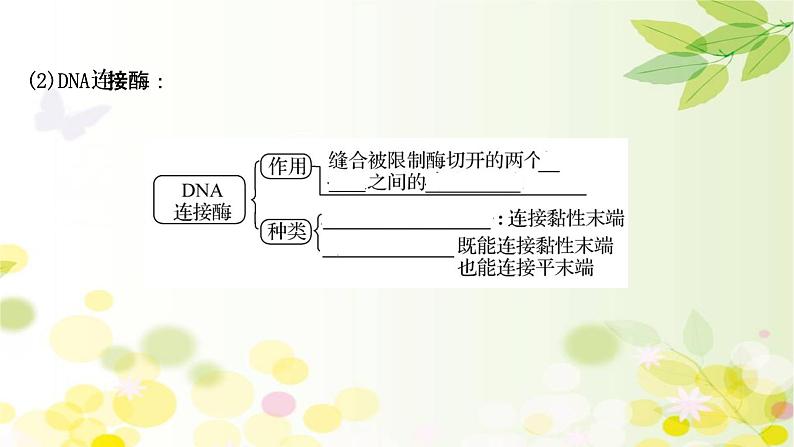 高中生物2022届新教材一轮复习人教版 第十单元 第4课 基 因 工 程 课件第7页