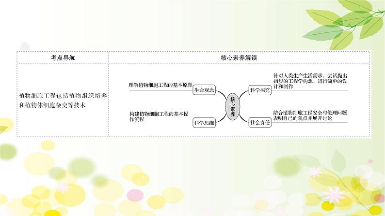 高中生物2022届新教材一轮复习人教版 第十单元 第5课 植物细胞工程 课件第2页