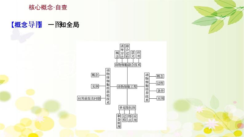 高中生物2022届新教材一轮复习人教版 第十单元 第6课 动物细胞工程 课件第3页