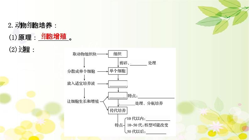 高中生物2022届新教材一轮复习人教版 第十单元 第6课 动物细胞工程 课件第5页