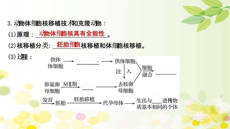 高中生物2022届新教材一轮复习人教版 第十单元 第6课 动物细胞工程 课件第8页