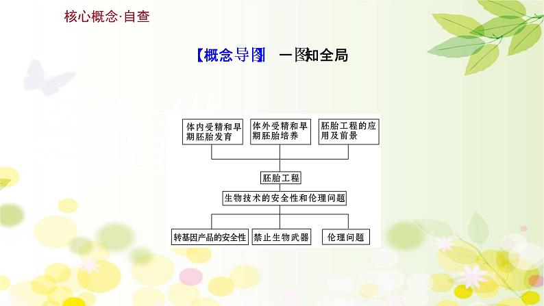 高中生物2022届新教材一轮复习人教版 第十单元 第7课 胚胎工程与生物技术的安全性和伦理问题 课件第3页