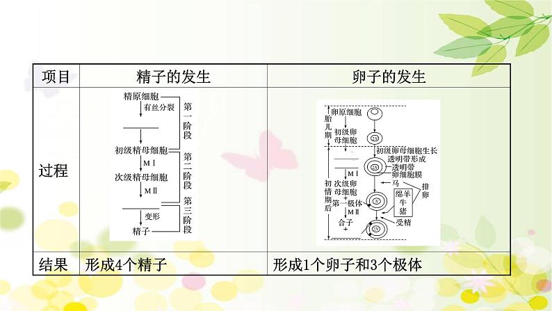 高中生物2022届新教材一轮复习人教版 第十单元 第7课 胚胎工程与生物技术的安全性和伦理问题 课件第5页