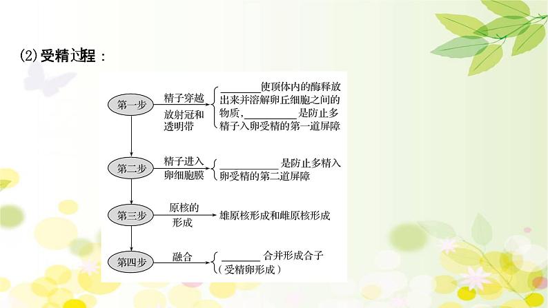 高中生物2022届新教材一轮复习人教版 第十单元 第7课 胚胎工程与生物技术的安全性和伦理问题 课件第7页