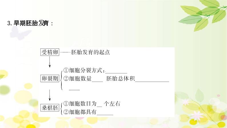 高中生物2022届新教材一轮复习人教版 第十单元 第7课 胚胎工程与生物技术的安全性和伦理问题 课件第8页