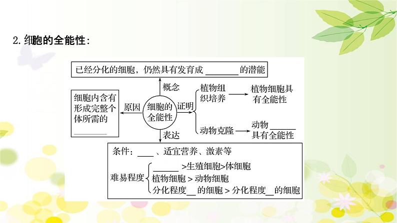 高中生物2022届新教材一轮复习人教版 第四单元 第3课 细胞的分化、衰老、凋亡和癌变 课件第8页