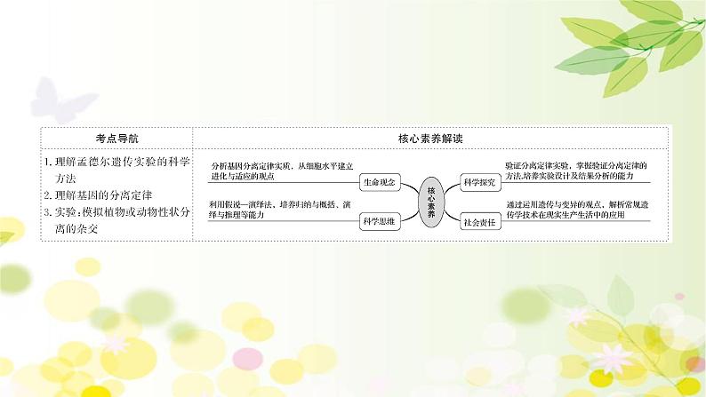 高中生物2022届新教材一轮复习人教版 第五单元 第1课 基因的分离定律 课课件PPT02