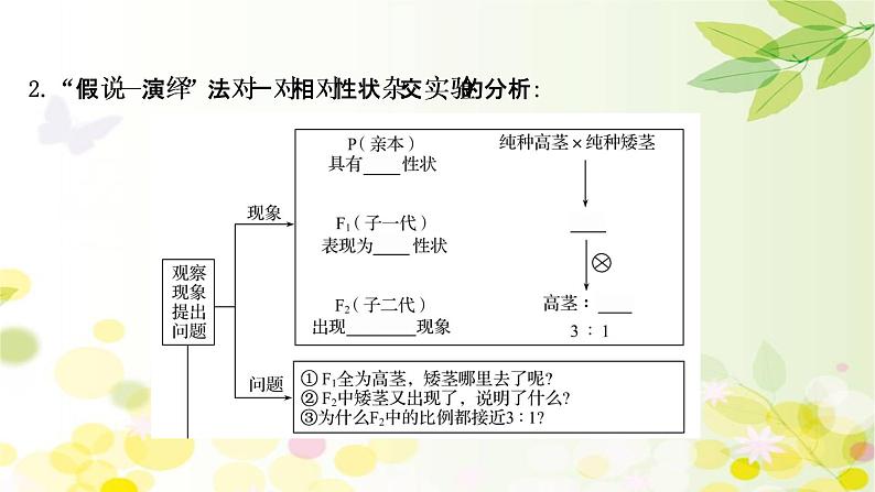 高中生物2022届新教材一轮复习人教版 第五单元 第1课 基因的分离定律 课课件PPT07