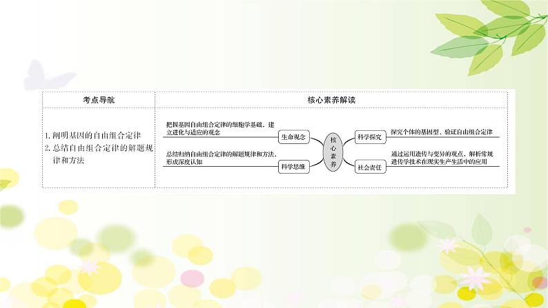 高中生物2022届新教材一轮复习人教版 第五单元 第2课 基因的自由组合定律 课件第2页