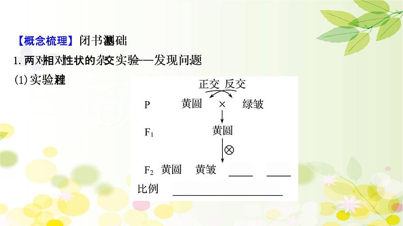 高中生物2022届新教材一轮复习人教版 第五单元 第2课 基因的自由组合定律 课件第4页