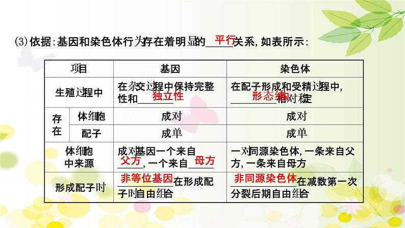 高中生物2022届新教材一轮复习人教版 第五单元 第3课 基因在染色体上、伴性遗传与人类遗传病 课件第5页